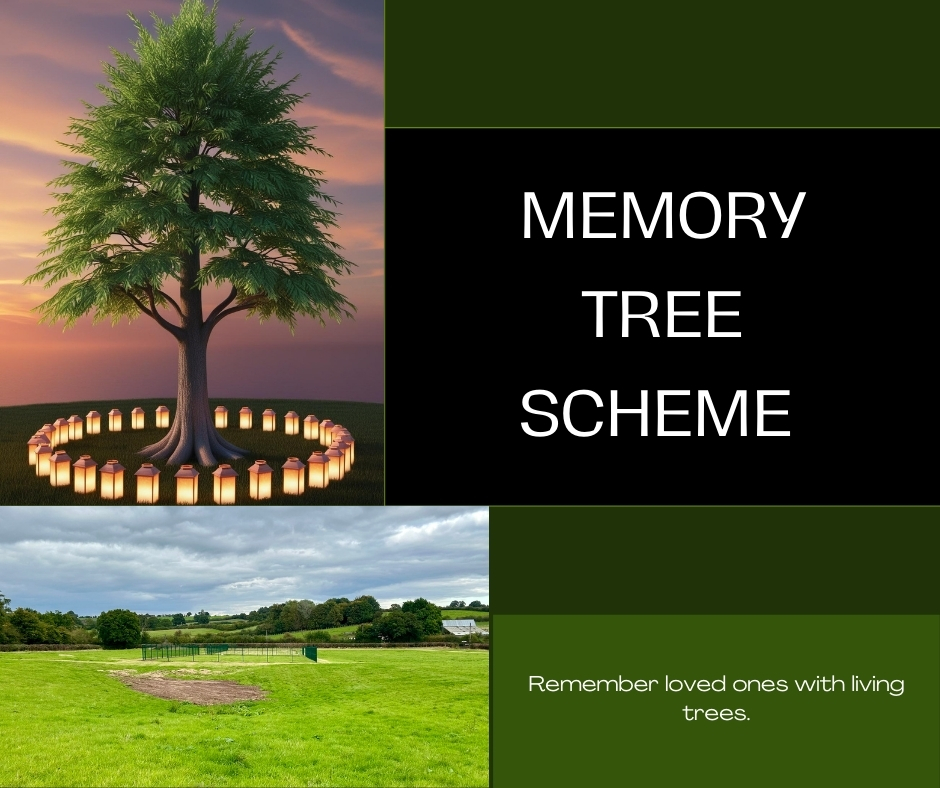 Memory Tree Scheme