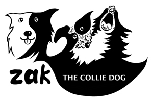 Zak the Collie Dog